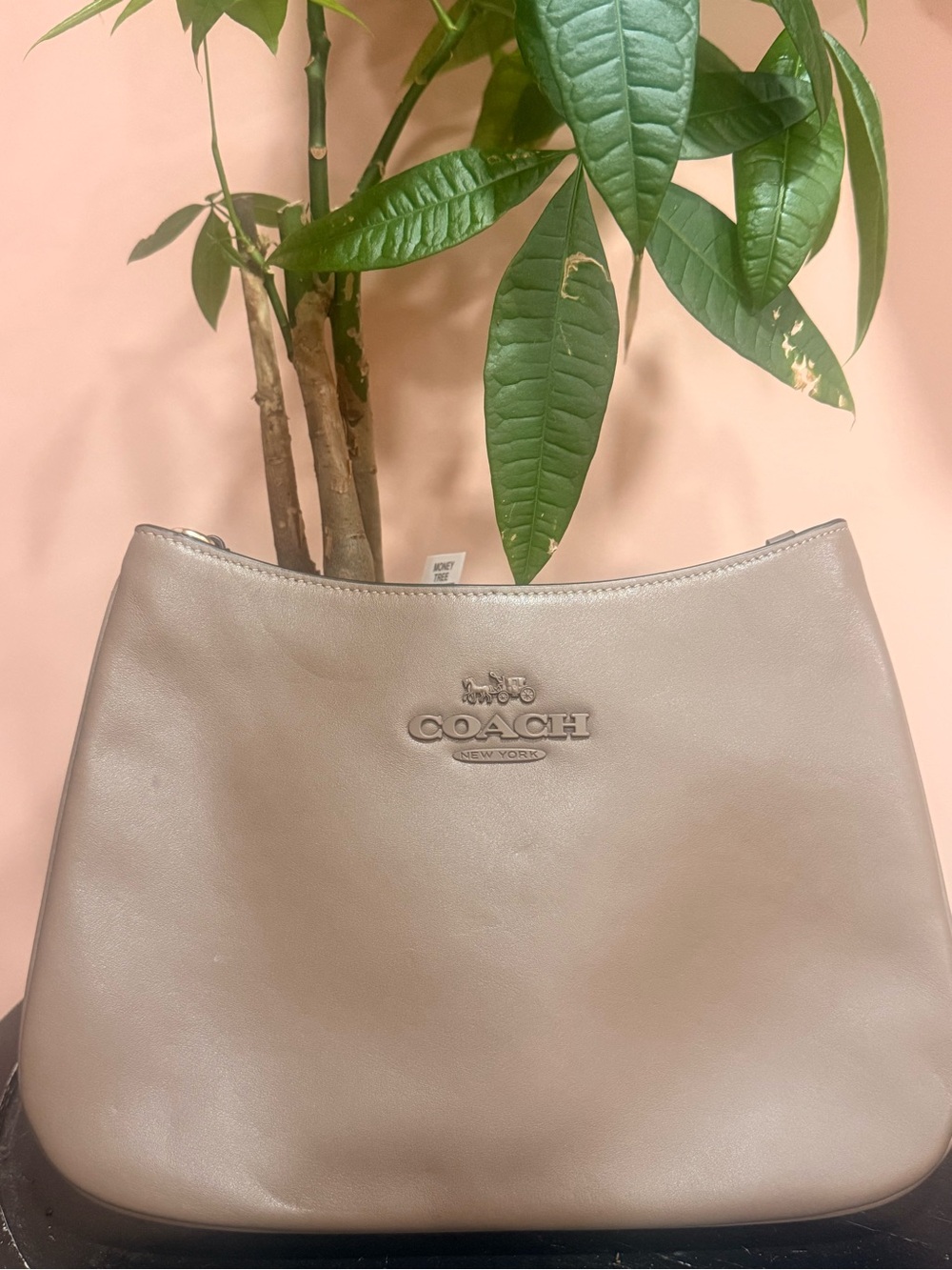 Coach Leather Shoulder Bag in Taupe